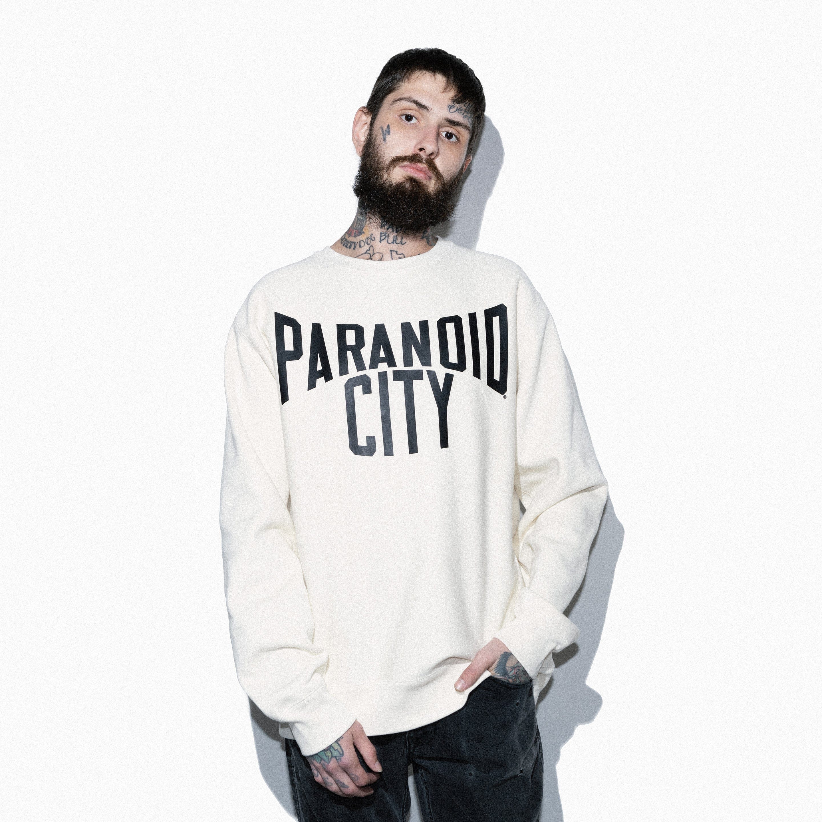 PARANOID CITY PREMIUM HEAVYWEIGHT CREWNECK SWEATER PARANOID CITY PREMIUM HEAVYWEIGHT CREWNECK SWEATER