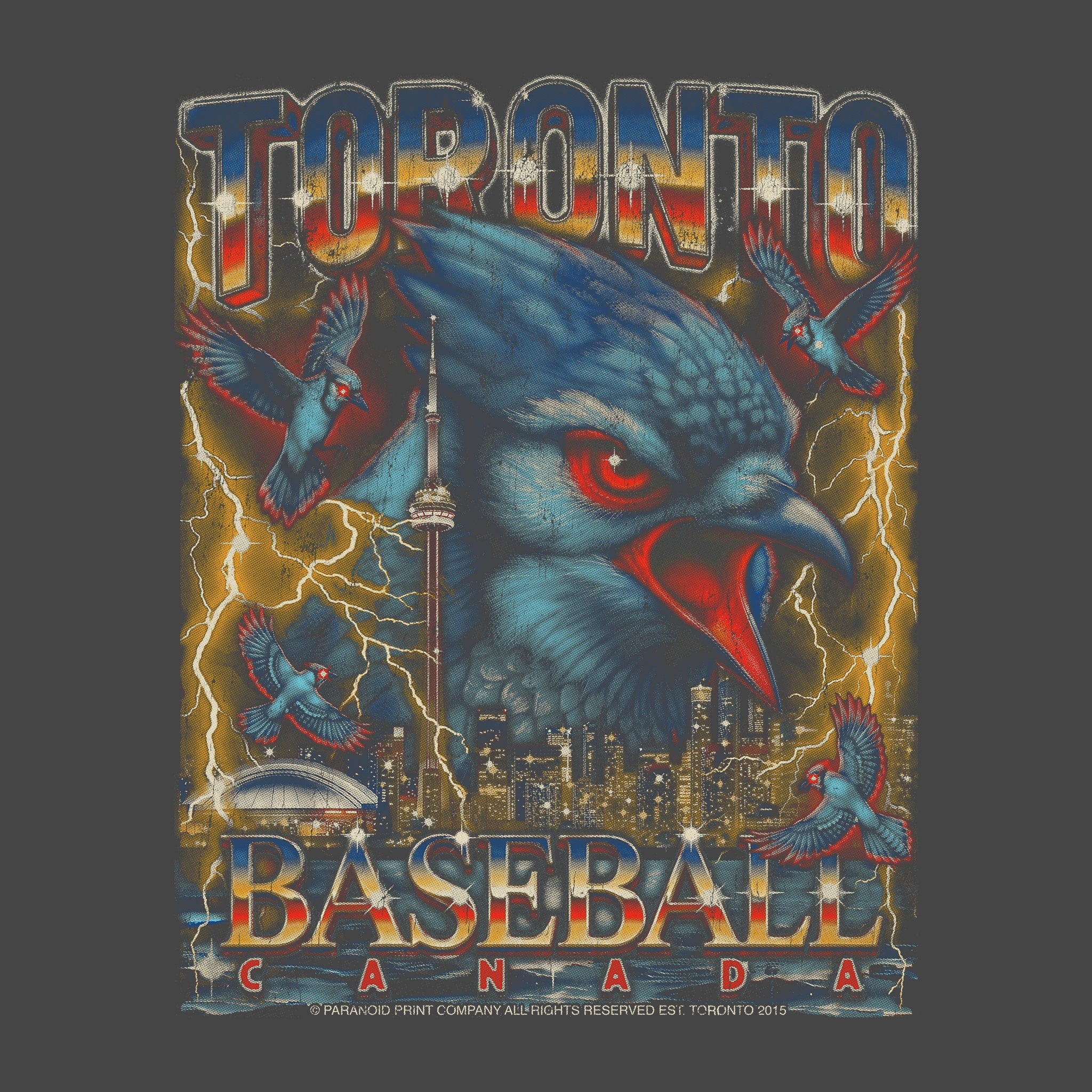 TORONTO BASEBALL PREMIUM T-SHIRT (Vintage Black)